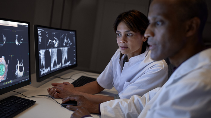 Cardiologistas analisando exames no monitor