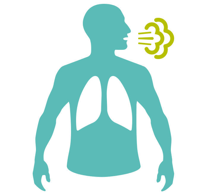 Miniatura de infogr&aacute;fico