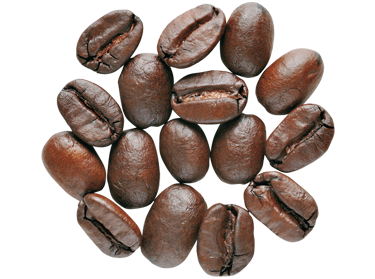 Gr&atilde;os Arabica