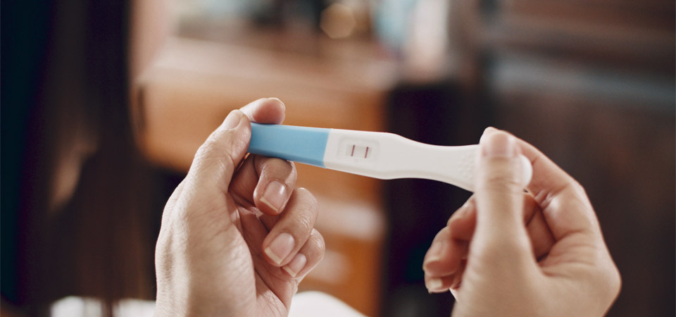 de In&iacute;cio da gravidez